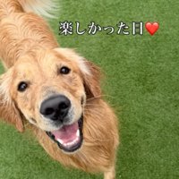 満面の笑みの犬