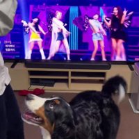 ダンスをしていたら…