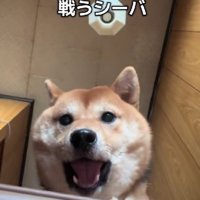 画面の中の自分と格闘！？