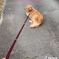 座り込むハッピーちゃん