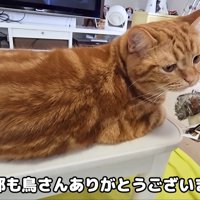 それぞれに「ありがとう」を伝えます