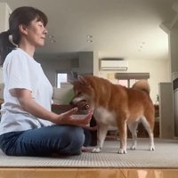 瞑想を邪魔する野々花ちゃん4