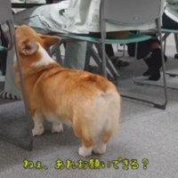 「なでて」