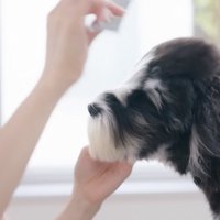 だんだんフワフワに