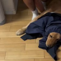 無の境地のアリスちゃん