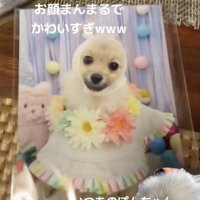 お顔まんまる！