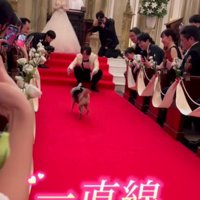 ダッシュで一直線！