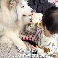 仲良しなふたり
