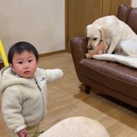 サンちゃんに取られてしまいました！