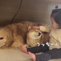 優しさ溢れる光景にホッコリ