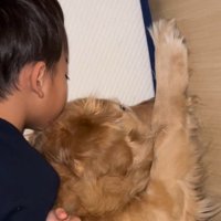 犬の頭に顔をくっつけて眠る男の子