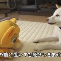 向かい合ってのんびり