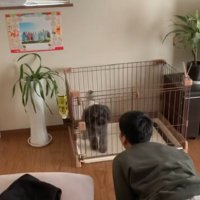 ワンコに顔を近づける友達