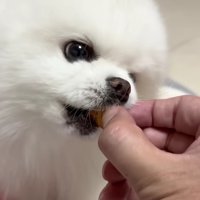 「こうかな？」