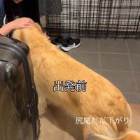 2週間も離れ離れに…