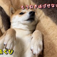 飼い主さんがあくびをしたら…