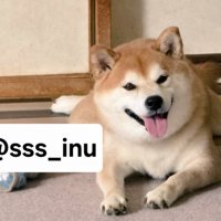 可愛い笑顔がたまらない♡