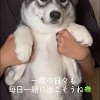 はまちちゃんの成長記録⑩