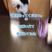 ちーちゃんとの出会い5