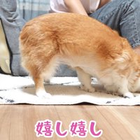 嬉しくてお顔をスリスリ♪