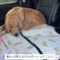 「ここにいます」