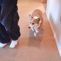 どっちも手に入れればOK♪