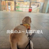 ママさんのお迎えに来たレオンくん