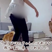 大好きなばあばが家に来た！！