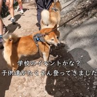 下山中、学生さんたちに遭遇