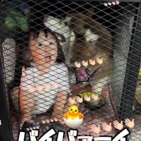 「バイバーイ！！！」