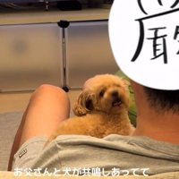 遠吠えを始めたあられちゃん