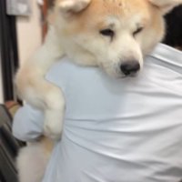 大きくても心は赤ちゃん！