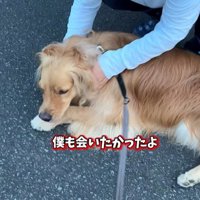 ピノくんとご夫婦の再会5