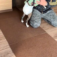 「もう1回やって～」