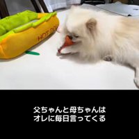 木ノ葉丸くんとの出会い9