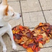 自然と触れ合ったり…