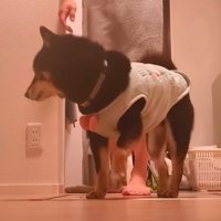 ルンルンで部屋に向かいます♪
