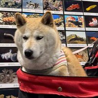 疲れ切った表情に爆笑♪