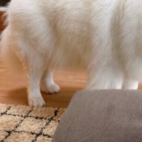 お兄ちゃん