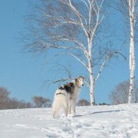 ポージングも完璧♪