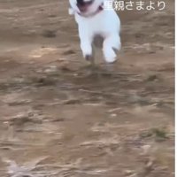 はじける笑顔に涙…