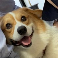 最後はニッコリ♡