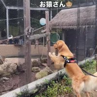 動物園を満喫♡