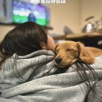 仰向けの女の子の上で気持ちよさそうに眠るカニヘンダックスフンド