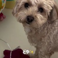 満足そうな顔にほっこり