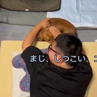 容赦ない構って攻撃！