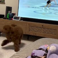 金メダル取れそう…！！