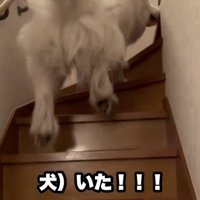 ついに！！
