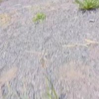ボールを追いかける！