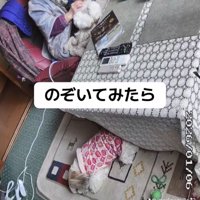 おばあちゃんと2匹の犬1